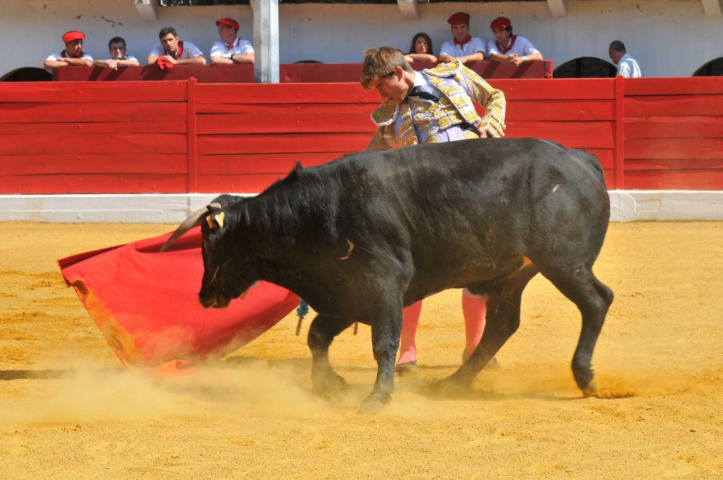 Mario_Alcalde_DSE_6513.JPG