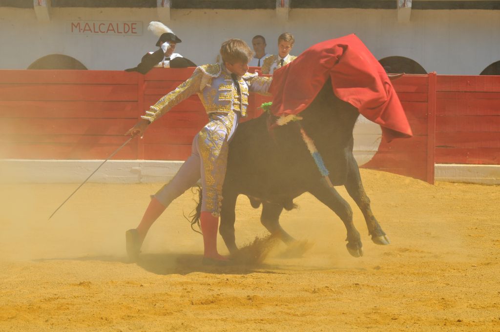 Mario_Alcalde_DSE_6514.JPG
