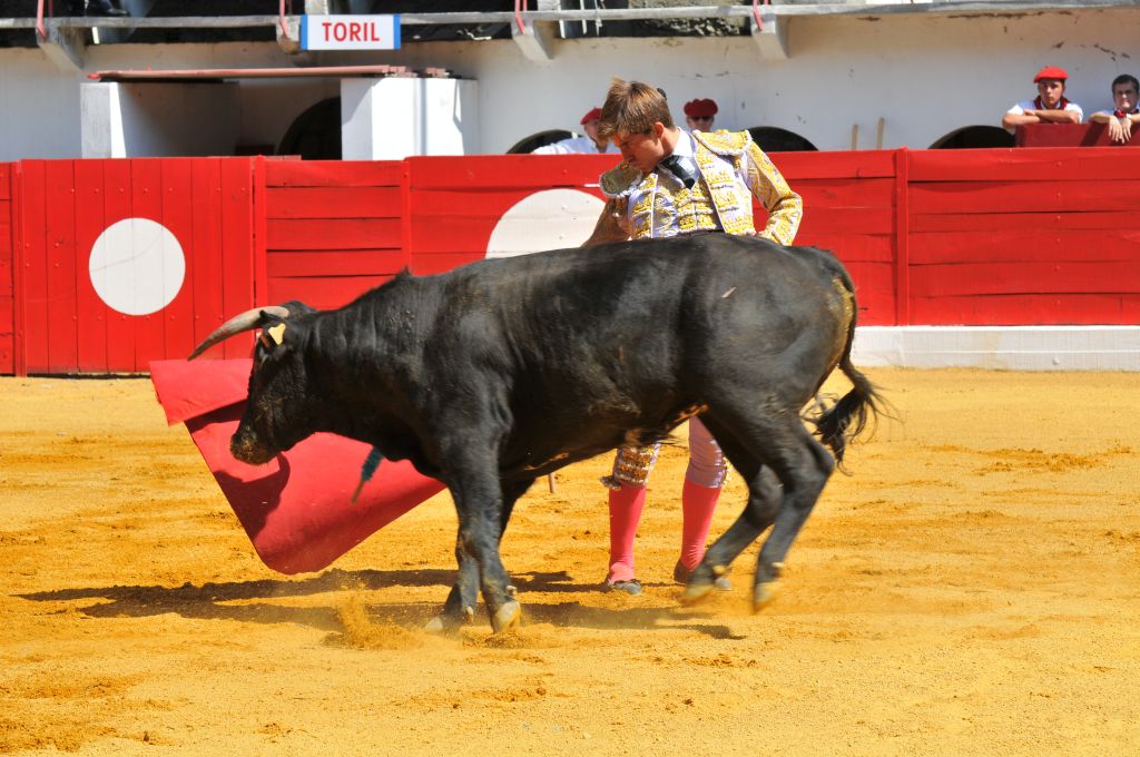 Mario_Alcalde_DSE_6515.JPG