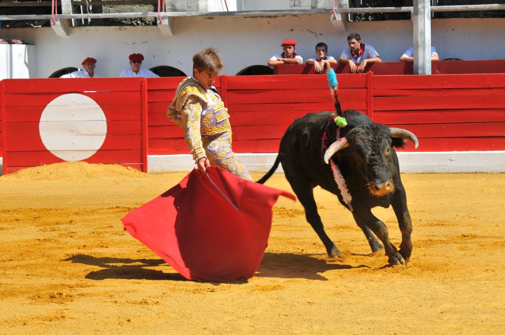 Mario_Alcalde_DSE_6517.JPG