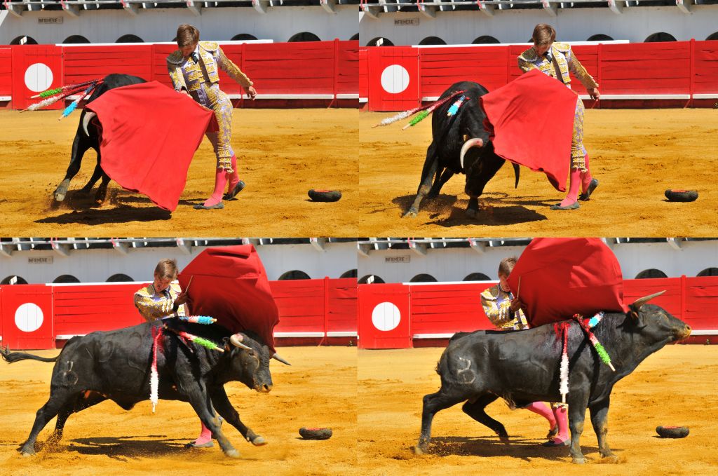 Mario_Alcalde_DSE_6519.JPG