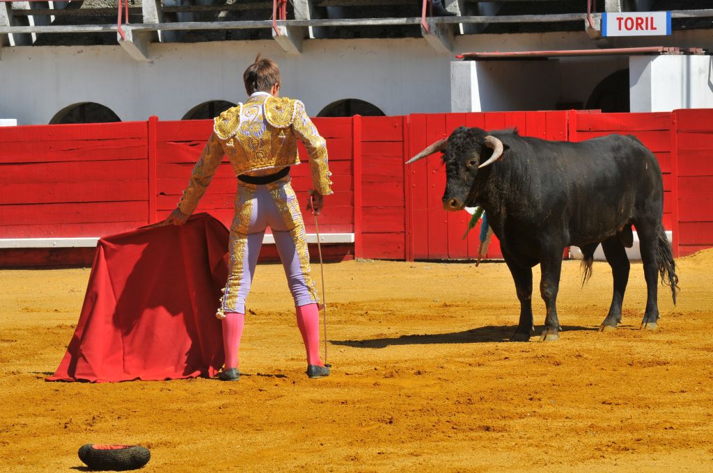 Mario_Alcalde_DSE_6523.JPG