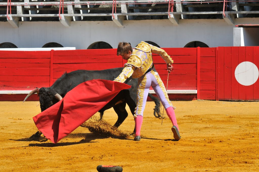 Mario_Alcalde_DSE_6524.JPG