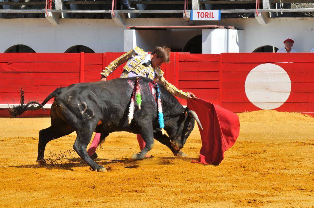 Mario_Alcalde_DSE_6525.JPG