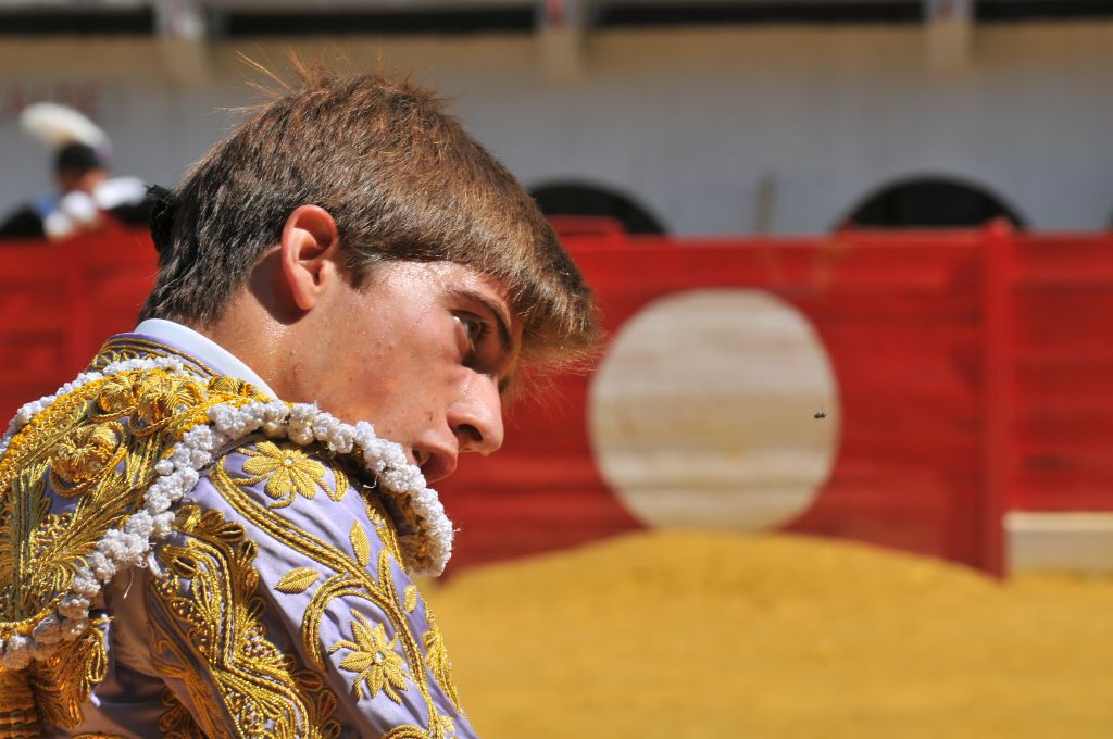 Mario_Alcalde_DSE_6530.JPG
