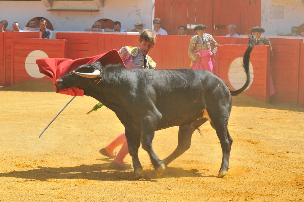 Mario_Alcalde_DSE_6535.JPG