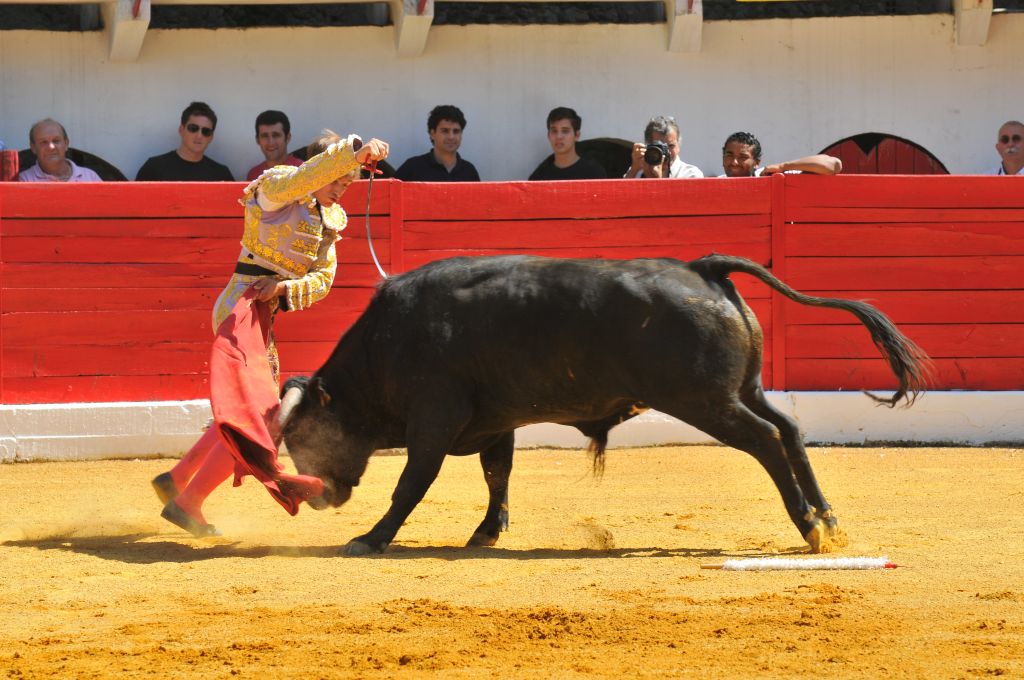 Mario_Alcalde_DSE_6538.JPG