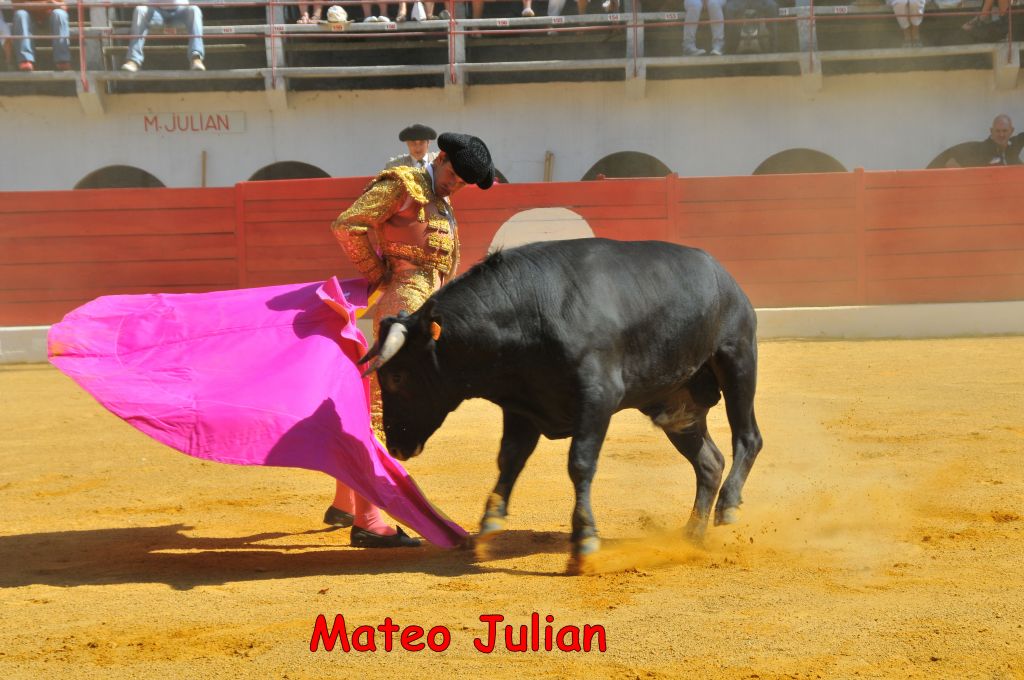 Mateo_Julian_DSE_6444.JPG