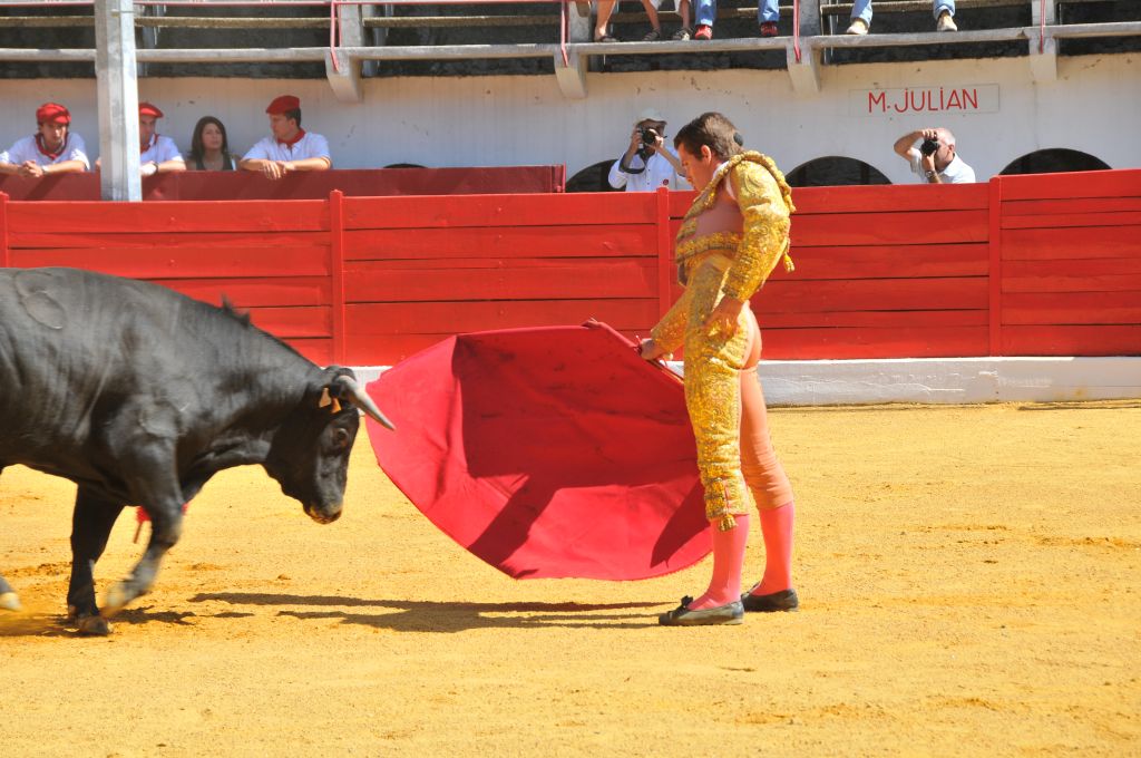 Mateo_Julian_DSE_6450.JPG