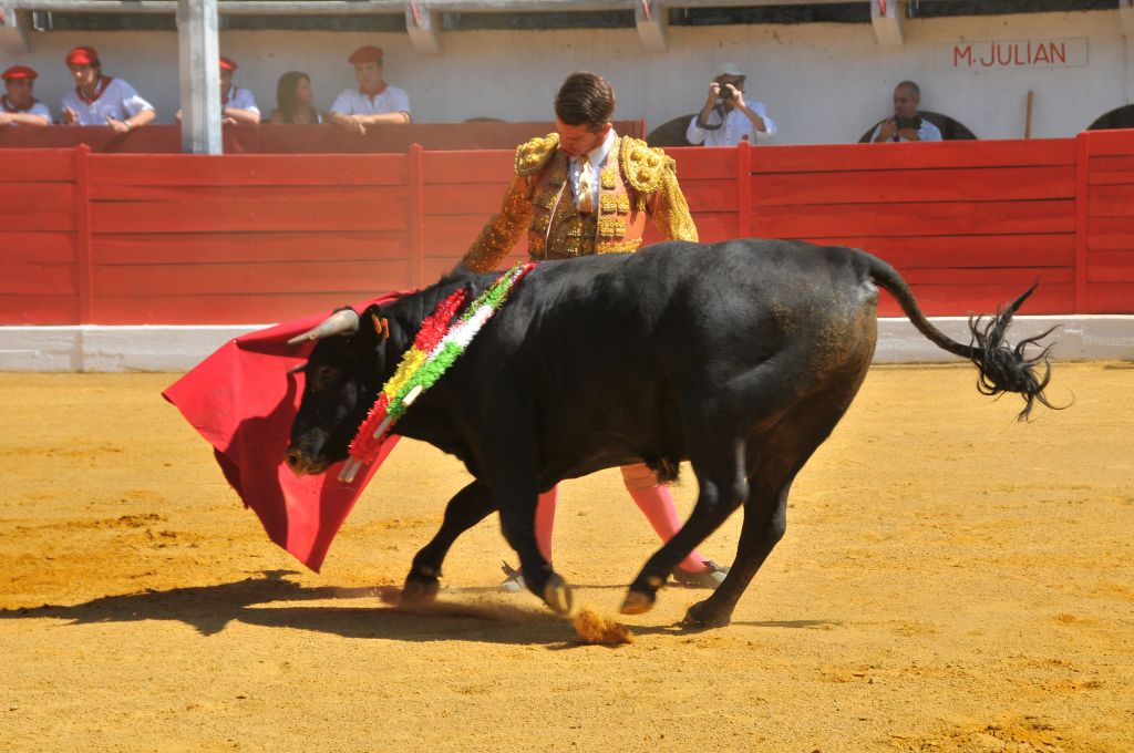 Mateo_Julian_DSE_6452.JPG