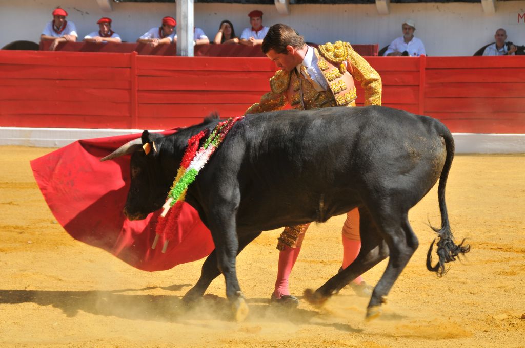 Mateo_Julian_DSE_6461.JPG