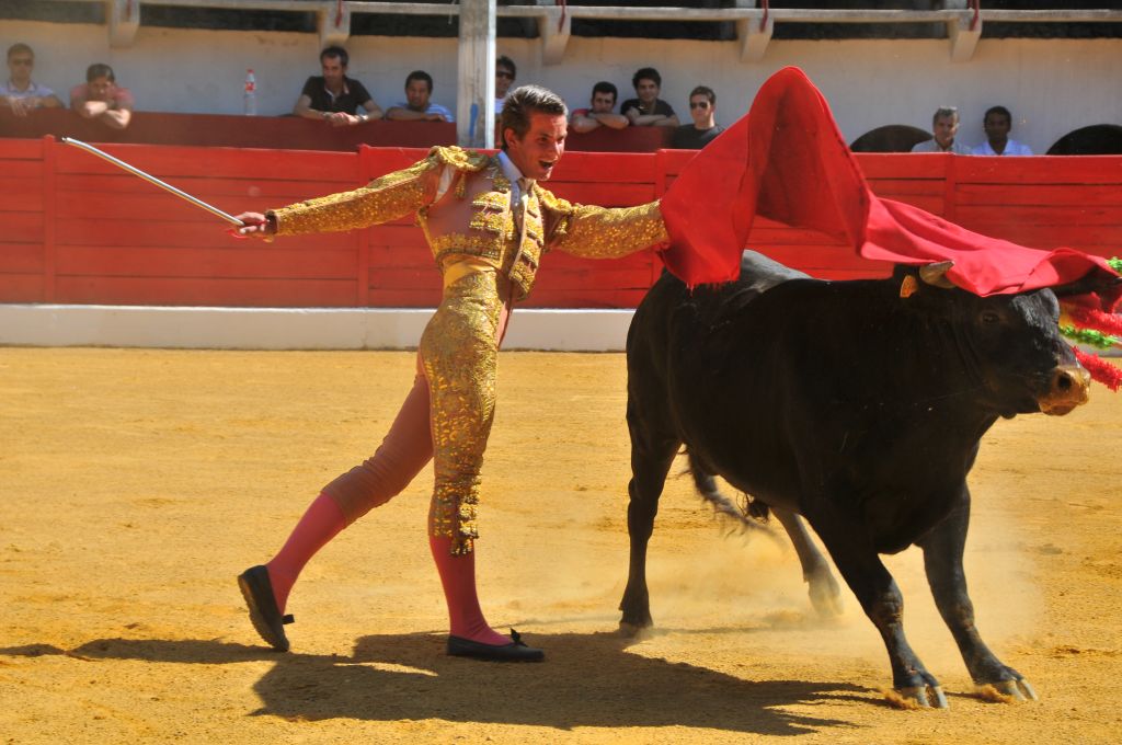 Mateo_Julian_DSE_6462.JPG