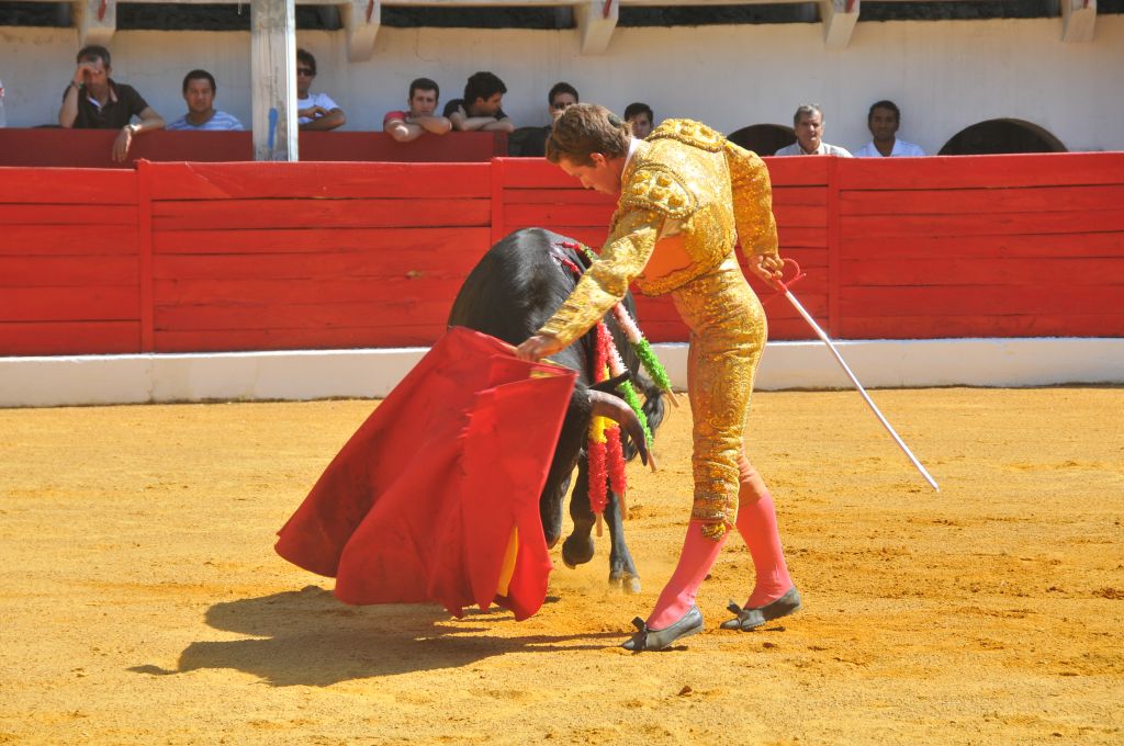 Mateo_Julian_DSE_6466.JPG