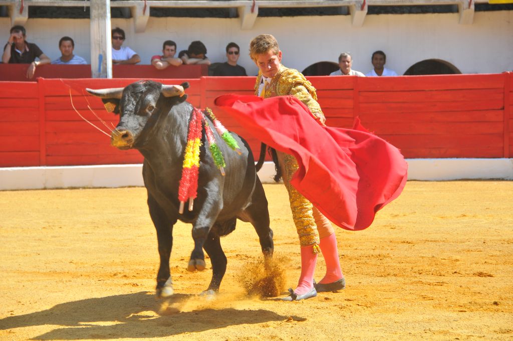 Mateo_Julian_DSE_6469.JPG