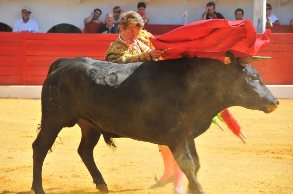Mateo_Julian_DSE_6472.JPG