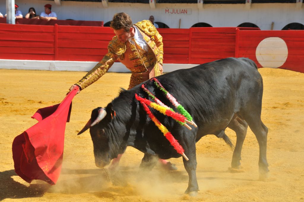 Mateo_Julian_DSE_6475.JPG