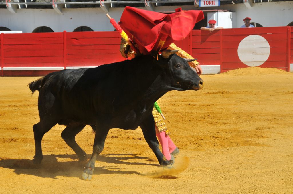 Mateo_Julian_DSE_6479.JPG