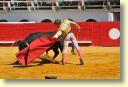 Mario_Alcalde_DSE_6524.JPG