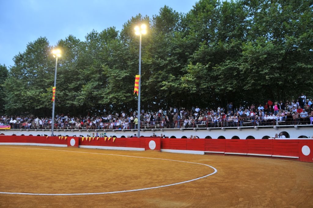 0050_DSE_6553.JPG