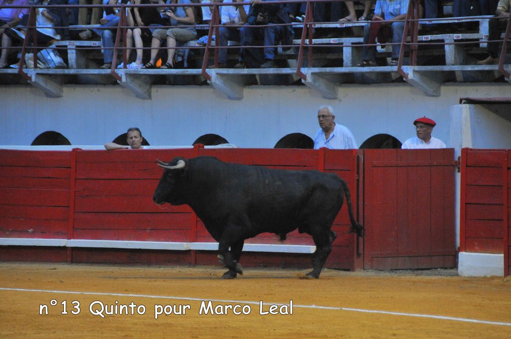 0130_Marco_Leal_DSE_6569.JPG