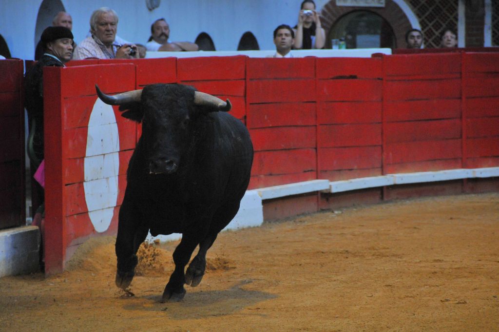 0140_Marco_Leal_DSE_6571.JPG