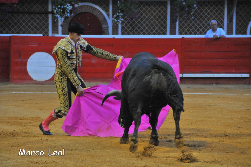 0150_Marco_Leal_DSE_6572.JPG