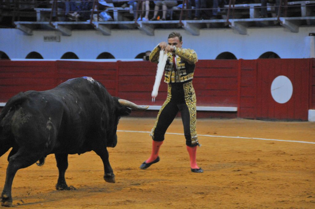 0190_Marco_Leal_DSE_6594.JPG