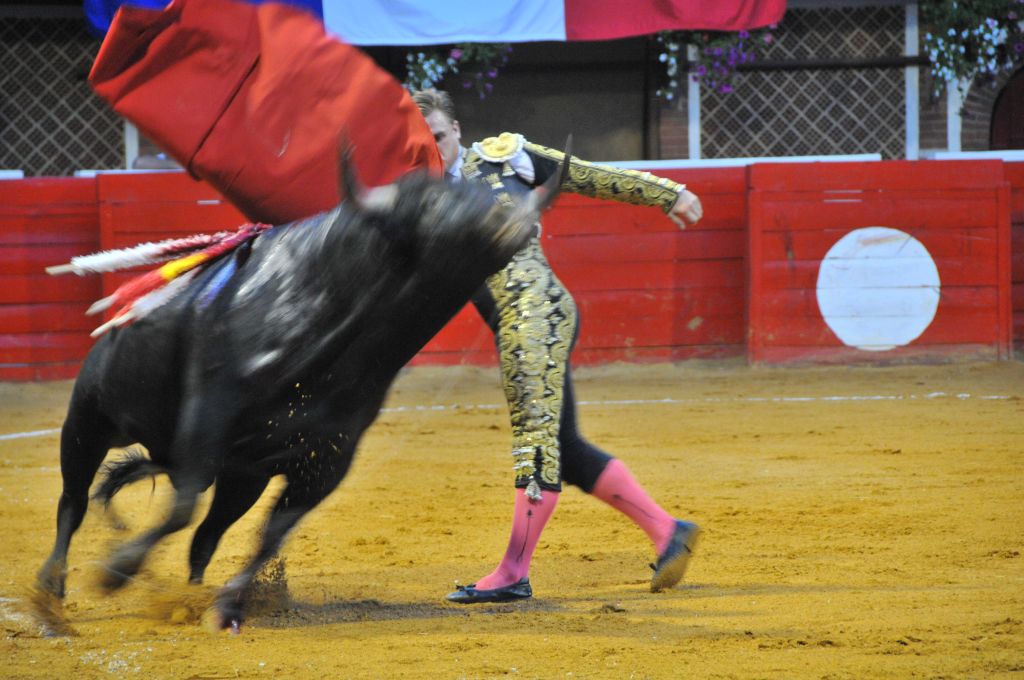 0250_Marco_Leal_DSE_6607.JPG