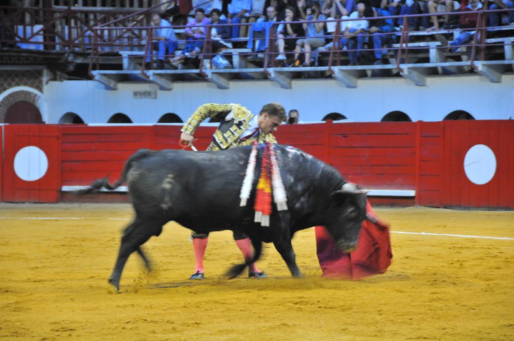 0270_Marco_Leal_DSE_6613.JPG