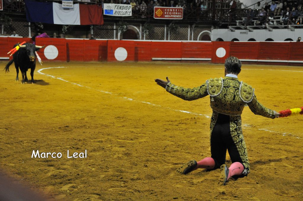 0830_Marco_Leal_DSE_6736.JPG