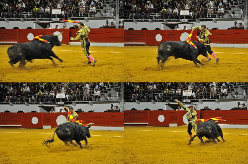 0840_Marco_Leal_DSE_6737c.jpg