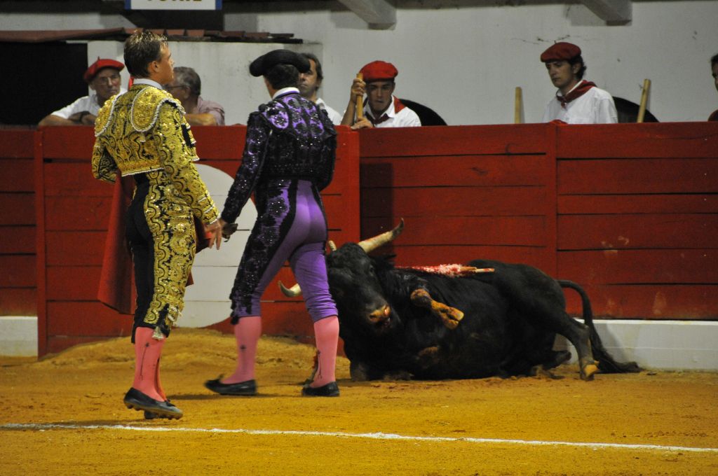 0910_Marco_Leal_DSE_6752.JPG