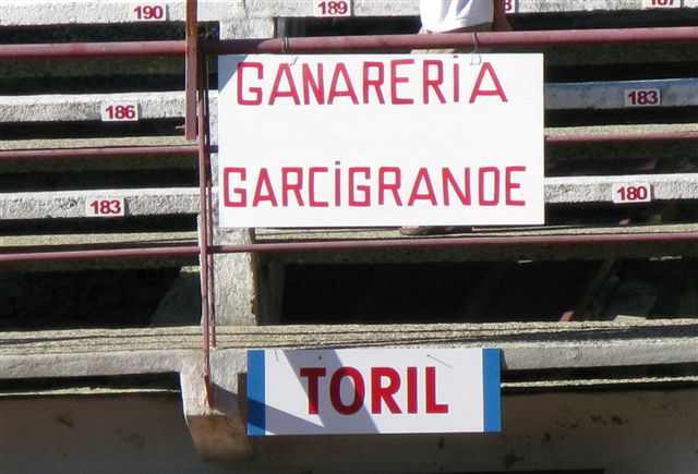 0005_sorteo.jpg