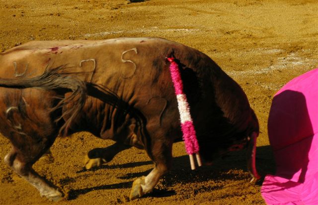 0005_sorteo.jpg