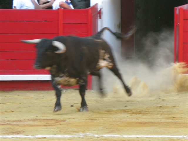 0005_sorteo.jpg
