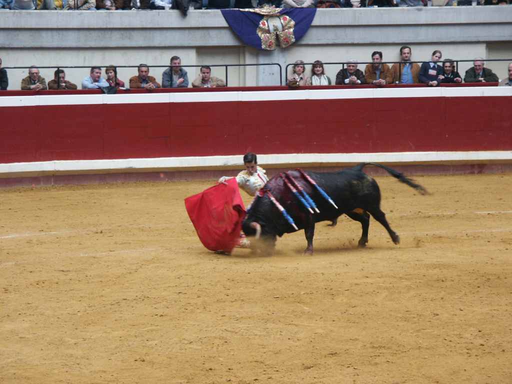 PICT1388.JPG