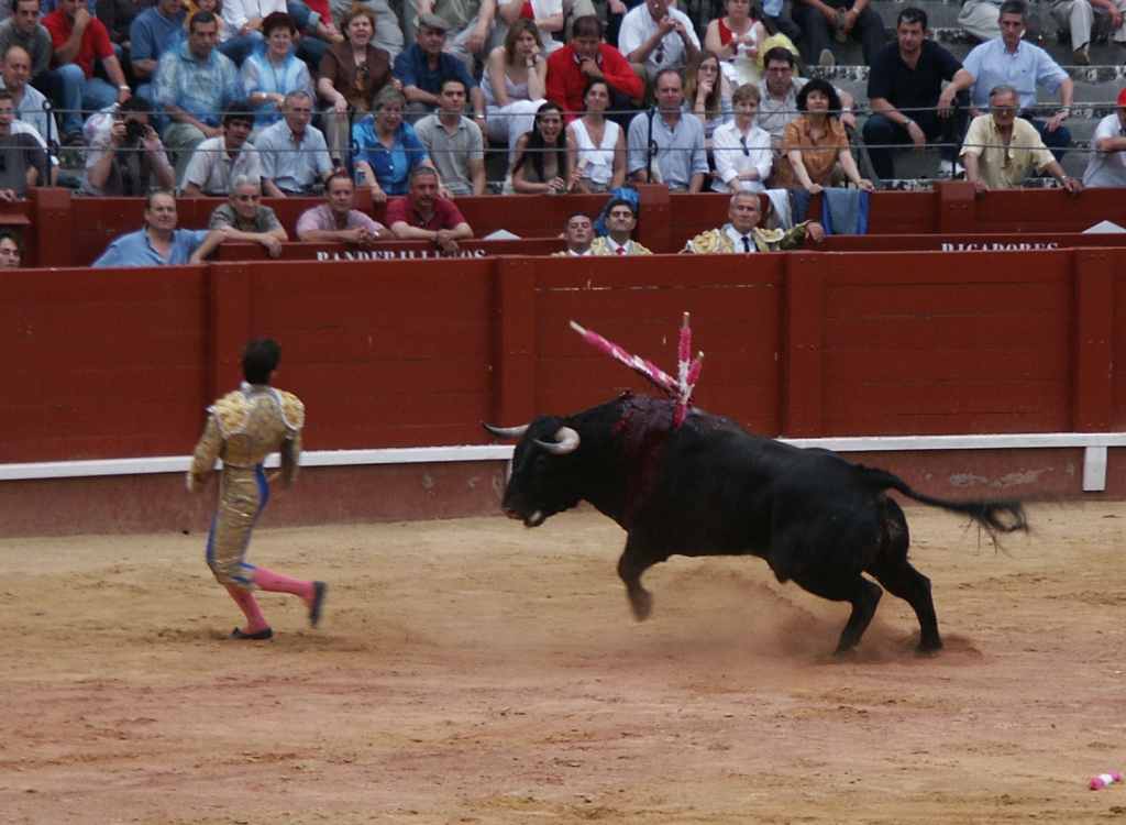 Pict1610.jpg