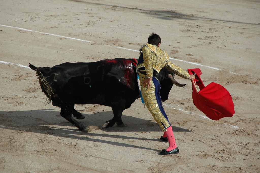 2005-05_0876_Davila_Miura,_ganaderia_Tardieu.JPG
