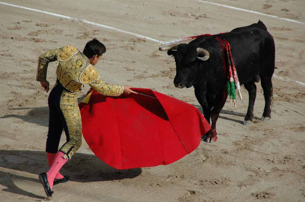 2005-05_0877_Davila_Miura,_ganaderia_Tardieu.JPG