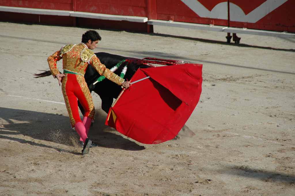2005-05_0880_Luis_Vilches,_ganaderia_Tardieu.JPG