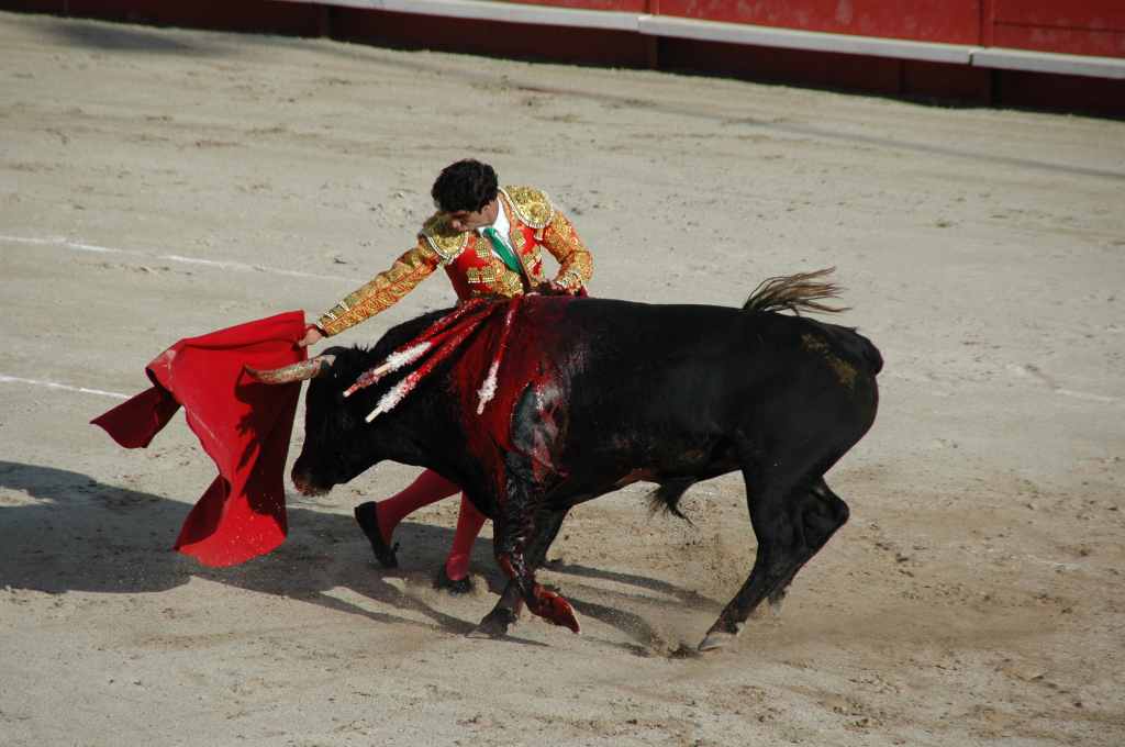 2005-05_0881_Luis_Vilches,_ganaderia_Tardieu.JPG