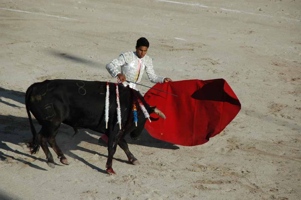 2005-05_0886_Luis_Bolivar,_ganaderia_Tardieu.JPG