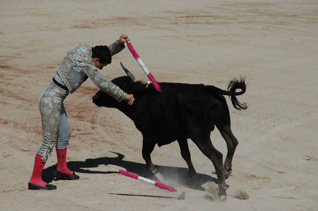 2005-05_0901_Joao_Fera_(novillada_NP).JPG