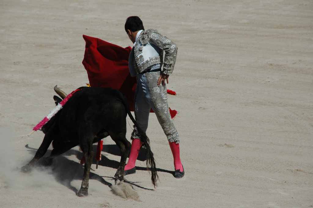 2005-05_0904_Joao_Fera_(novillada_NP).JPG