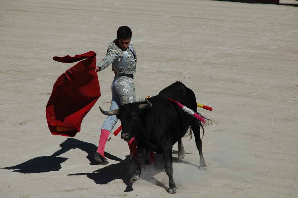 2005-05_0906_Joao_Fera_(novillada_NP).JPG