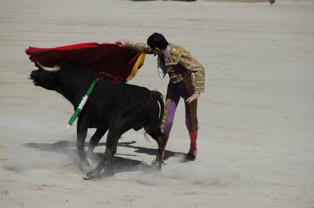 2005-05_0908_Patrick_Villebrun_(novillada_NP).JPG