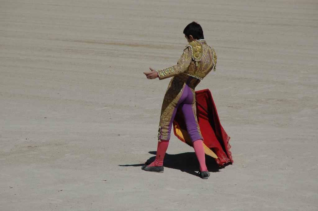 2005-05_0910_Patrick_Villebrun_(novillada_NP).JPG