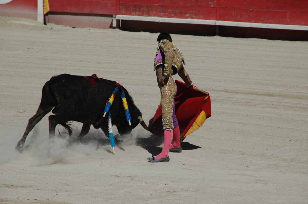 2005-05_0912_Patrick_Villebrun_(novillada_NP).JPG