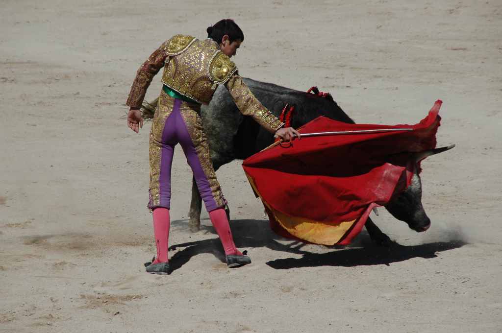 2005-05_0920_Patrick_Villebrun_(novillada_NP).JPG