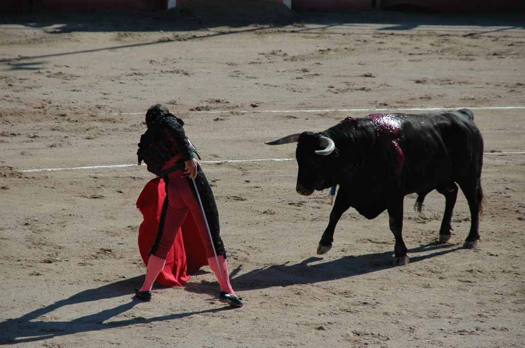 2005-05_0927_Stephane_Meca,_toros_Palha.JPG